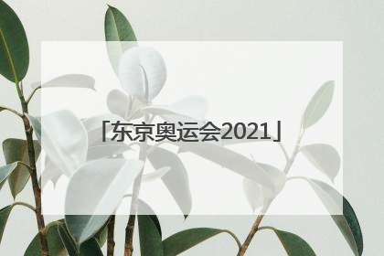 「东京奥运会2021」东京奥运会2020