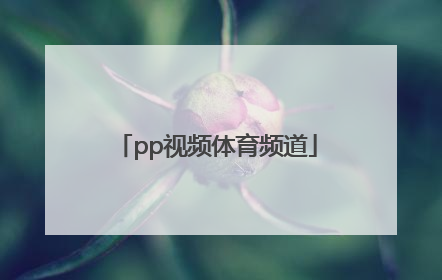 「pp视频体育频道」广东体育频道直播视频